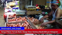 Harga Pakan Ternak Naik, Harga Telur Tembus Rp30.000 per Kilogram