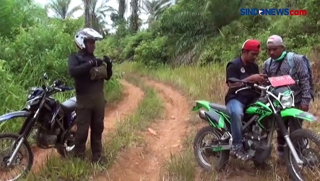 Harimau Sumatera Masuk Permukiman Warga, BKSDA Aceh Keluarkan Peringatan