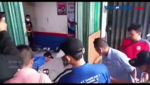 Ular King Kobra Dalam Paket Hebohkan Kantor Ekspedisi di Cirebon