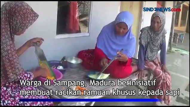 Wabah PMK, Warga Madura Buat Ramuan Tradisional Dua Hari Sapi Sembuh