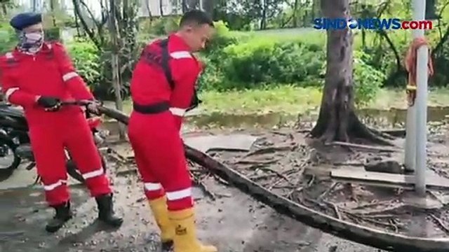 Ngeri, Ular Piton Sepanjang 6 Meter Sembunyi di Kamar Mandi