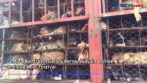 Ratusan Anjing Diselamatkan dari Truk Neraka saat Menuju Festival Daging Anjing di China