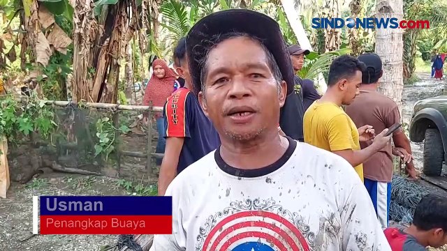 Detik-Detik Warga Buton Tangkap Buaya Sepanjang 4.3 Meter