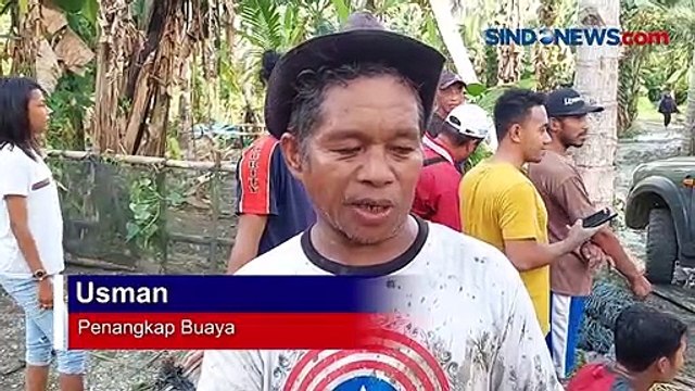 Kakek 53 Tahun Tangkap Buaya Raksasa Seorang Diri di Buton, Sulawesi Tenggara
