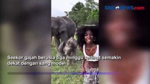 Anak Gajah 'Nakal' Ini Merobek Rok Seorang Model Amerika di Thailand