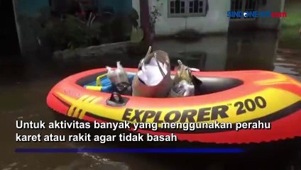 Sepekan Banjir Pekalongan Belum Surut, Warga Sulit Penuhi Kebutuhan