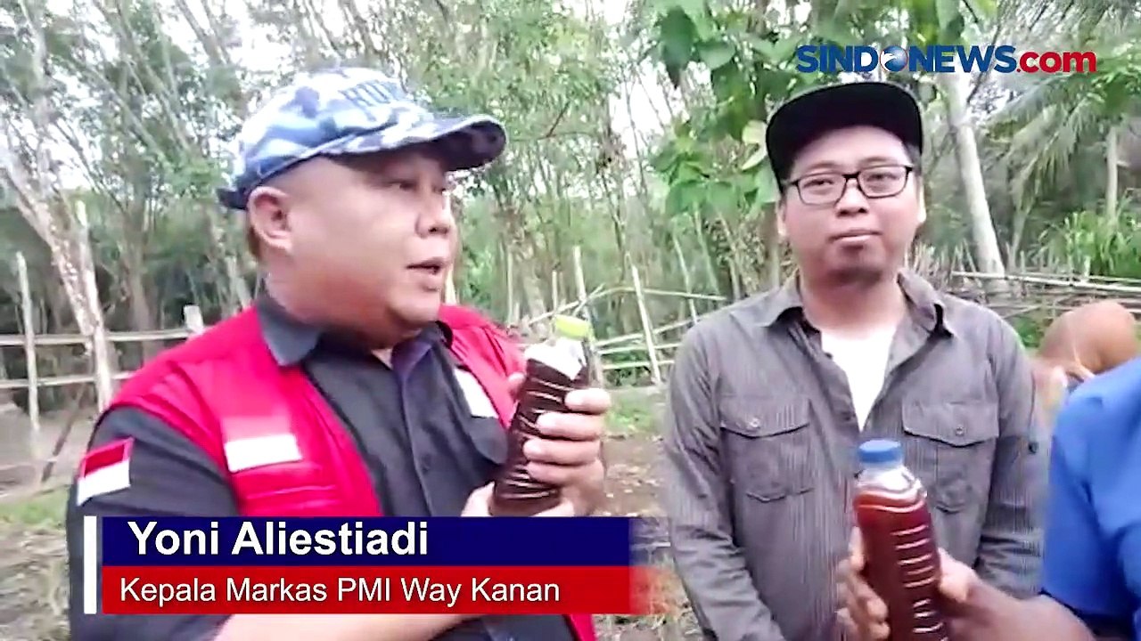 Antisipasi Wabah PMK, PMI dan SMSI Way Kanan Bagikan Obat Pencegah ke Peternak