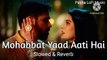 Mohabbat Yaad Aati Hai ( Slowed & Reverb ) Song || Pasha LoFi