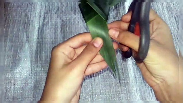 coconut leaf bird |how to make bird using coconut leaves |coconut leaf craft