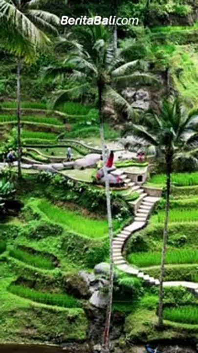 5 Destinasi Wisata Ubud Bali yang Cocok untuk Healing, cocok nih bagi semeton yang banyak pikiran