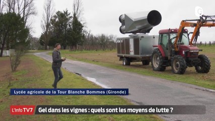 JT DES TERRITOIRES - 04/03/23 - INTEMPÉRIES - UKRAINE - SPORT - BACHATA - LE GRAND JOURNAL DES TERRITOIRES - TéléGrenoble