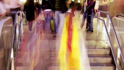 15 Times Animals Got Too Curious!