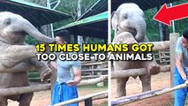 15 Times Humans Got Too Close To Animals