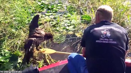 15 Times Animals Asked People For Help