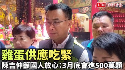台灣雞蛋供應緊張？陳吉仲保證產銷穩定讓你安心🥚