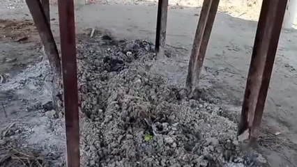 जलती लाश के साथ तांत्रिक ने किया घिनौना कांड, Video है खौफनाक...