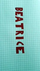Beatrice disegno  fatto da  me