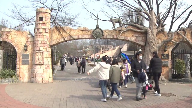 봄바람 찾아온 주말...도심 공원 나들이객 '북적' / YTN
