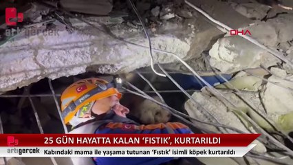 Kabındaki mama ile yaşama tutunan 'Fıstık' isimli köpek, 25'inci günde kurtarıldı.