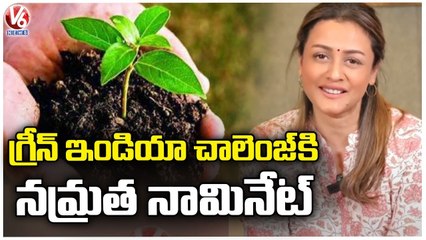Namrata Shirodkar Thanks To MP Santosh For Nomination To Green India Challenge _ V6 News