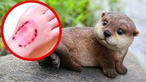 10 Sweetest Animals That Are Secretly Killers