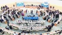 El Alto Comisionado de la ONU de Derechos Humanos condena la violencia en Israel y Palestina