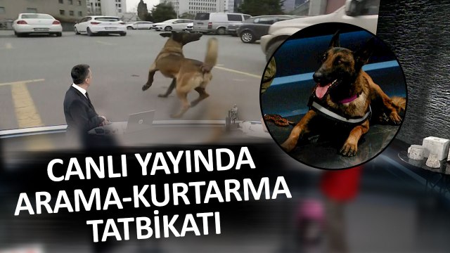 İşte Arama Kurtarma Çalışmalarının 'Sessiz' Kahramanları!