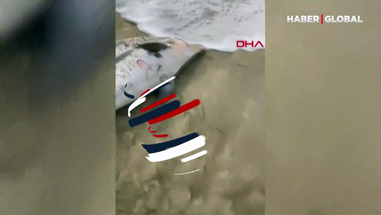 Başında darbeler olduğu görüldü! Vatandaşlar cep telefonu kamerasıyla görüntüledi
