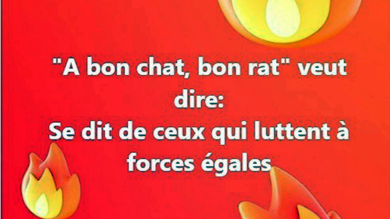 2)  A bon chat, bon rat. Proverbe Français, expression populaire.
