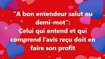 3)	  A bon entendeur salut ou demi-mot Celui qui entend et qui comprend l’avis reçu doit en faire son profit