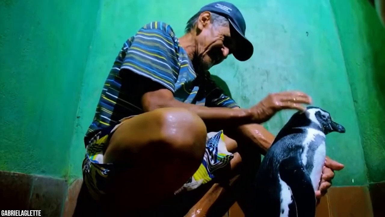 10 Incredible Friendships Between Humans And Animals