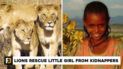 15 Wild Animals That Saved Human Lives