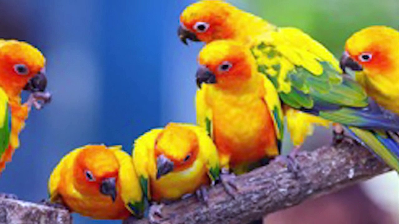 15 Extinct Animals Scientists Are Bringing Back Soon