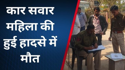 नागौर: नीलगाय को बचाने के चक्कर में हुआ हादसा, कार सवार महिला की हुई मौत