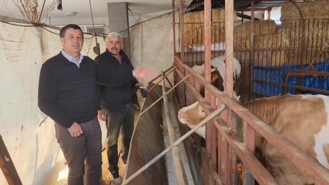 Okan Gaytancıoğlu: Deprem Bölgesinde En Önemli Sorunlardan Bir Tanesi İnek Var, İneğin Sütü de Var Ama O Sütü Sağmak İçin Jeneratör Lazım