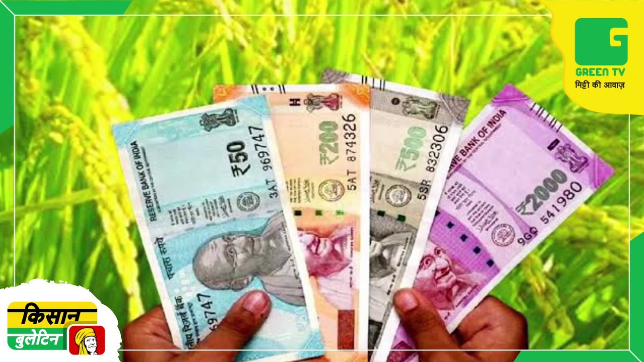 Kisan Bulletin 04 March 2023 - किसानों को अब आधी कीमतों पर उपलब्ध होगी DAP खाद, केंद्र सरकार ने लॉन्च किया Nano DAP
