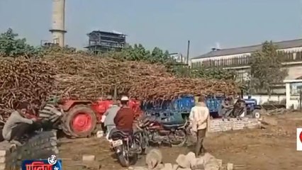 सहारनपुर: होली पर नहीं भुगतान, गन्ना किसान परेशान, देखें ग्राउंड रिपोर्ट