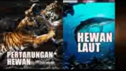 This animal's life span is very short