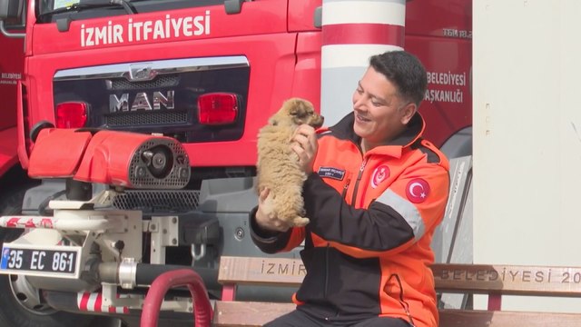 Enkazdan kurtarılan yavru köpeğe İzmirli itfaiyeci yuvasını açtı