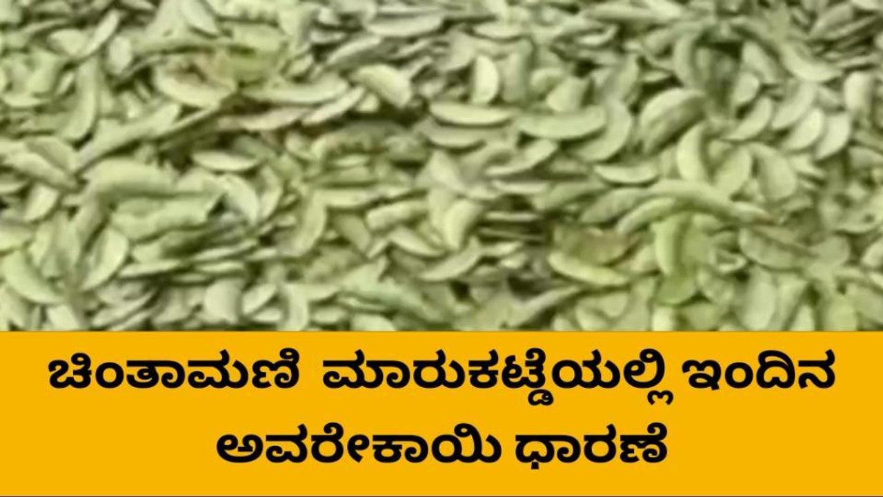 ಚಿಂತಾಮಣಿ: ಮಾರುಕಟ್ಡೆಯಲ್ಲಿ ಇಂದಿನ ಅವರೇಕಾಯಿ ಧಾರಣೆ ಹೀಗಿದೆ ನೋಡಿ..