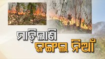 Forest fire triggering panic among locals in Odisha