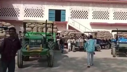 बाराबंकी: आलू किसानों के सामने इन दिनों सबसे बड़ा मंडरा रहा संकट, जाने पूरी वजह...