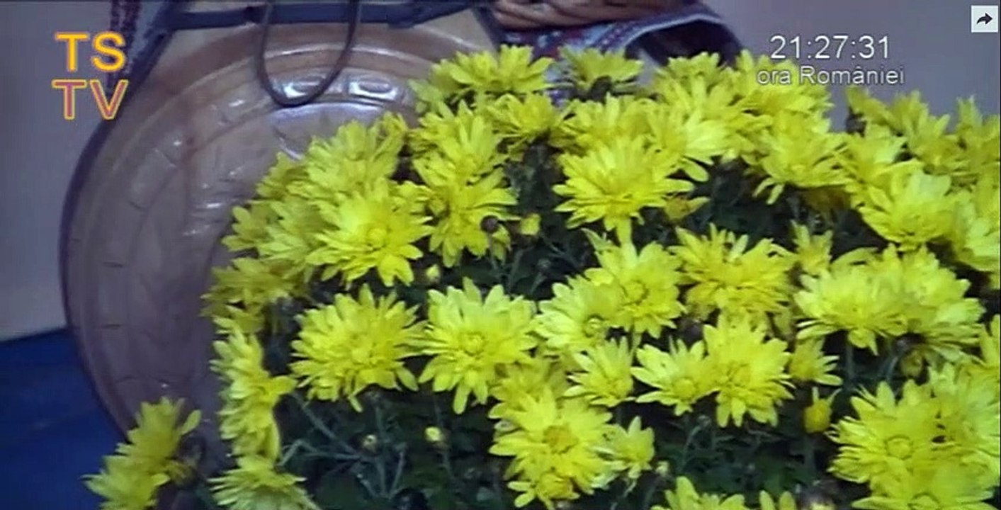 Angela Saftoiu - Tu te duci, neica, te duci