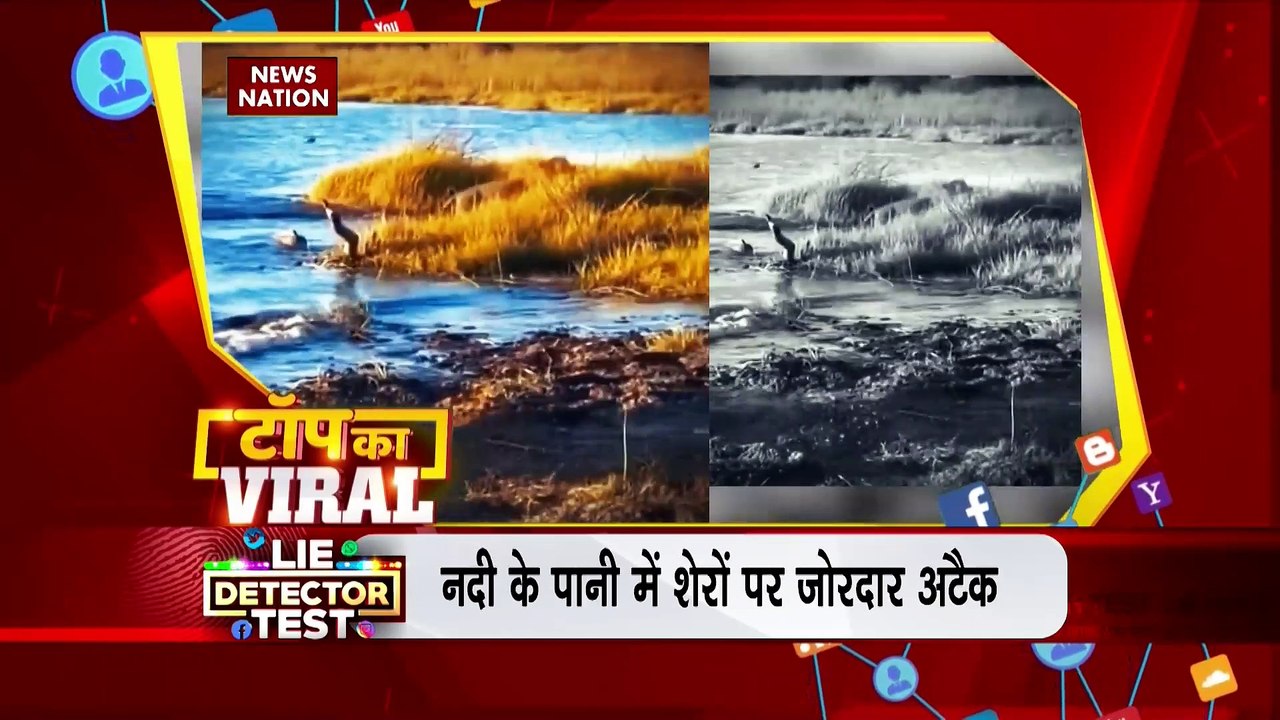 TOP KA VIRAL : सोशल मीडिया पर TOP KA VIRAL