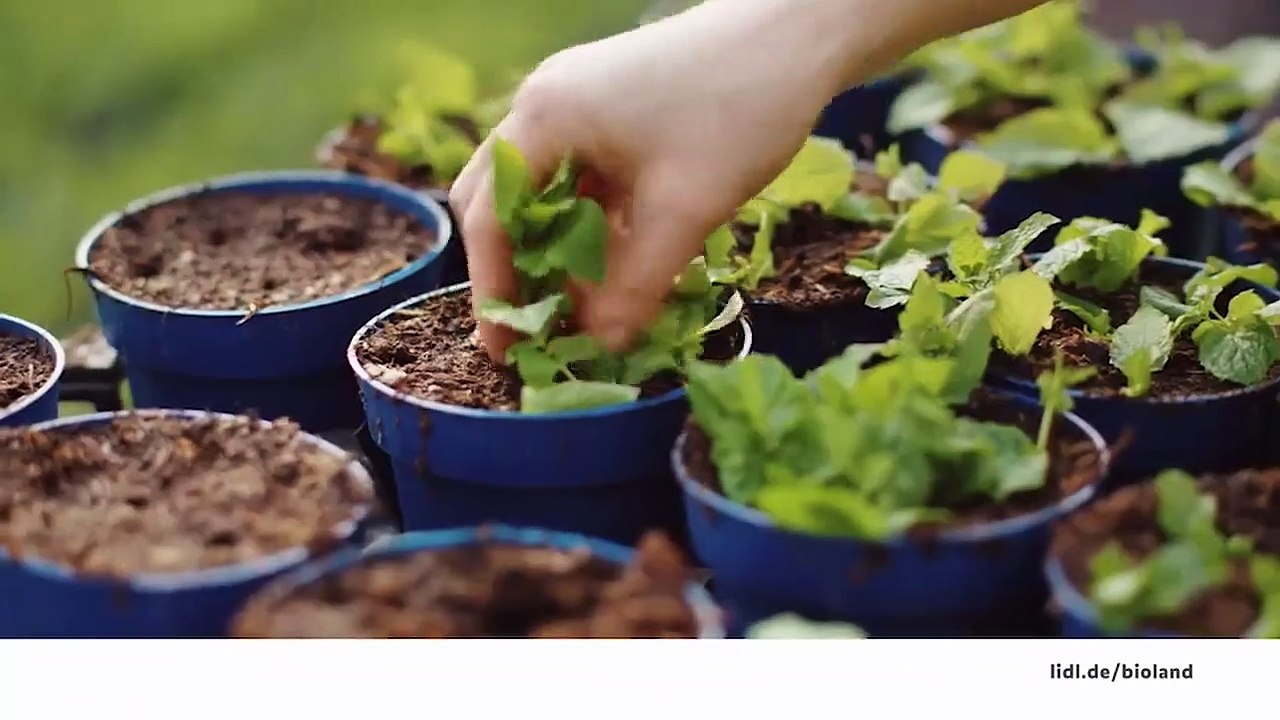 Julius Caesar (2002) Filme Deustche HD - Part 02