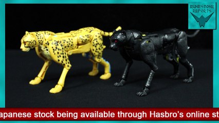 Transformers - "War For Cybertron: Kingdom" Shadow Panther || Runestone Reports #15