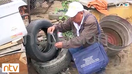 Reportan 371 casos de dengue en el departamento de La Paz