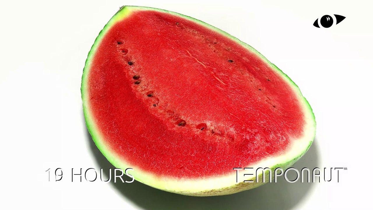 Watermelon Timelapse Rotated