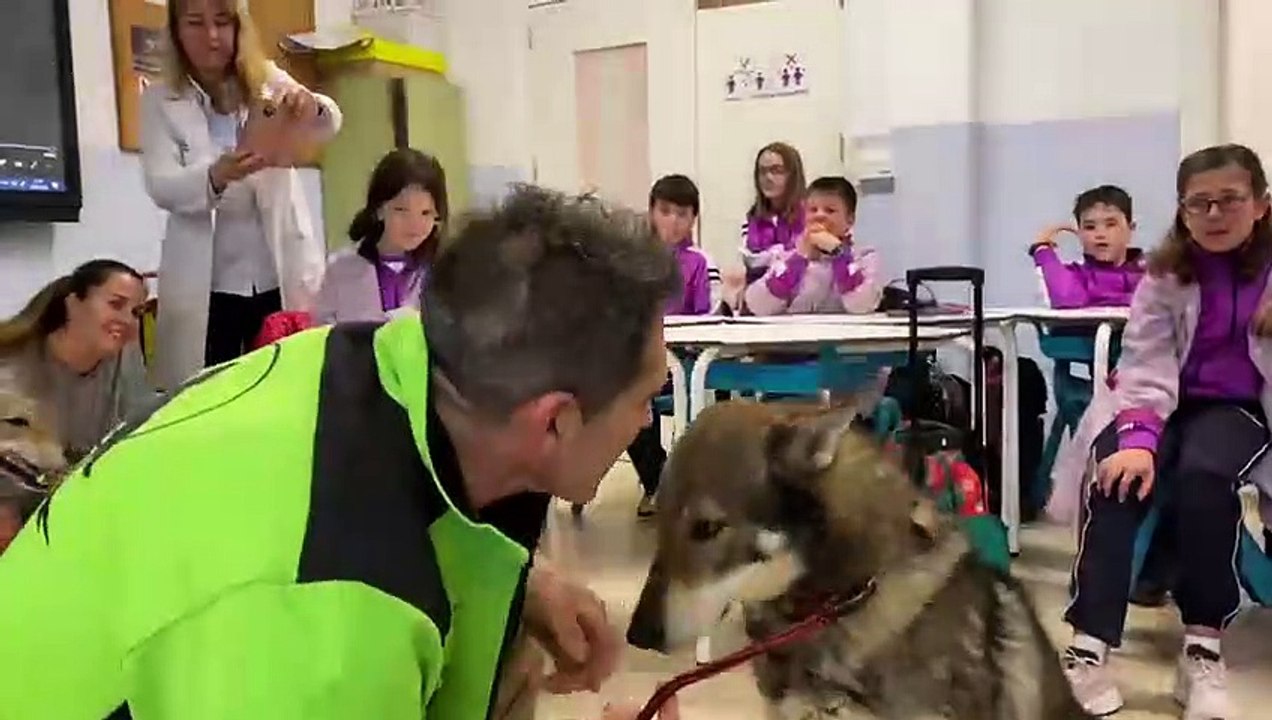 Aprendiendo con lobos en el aula