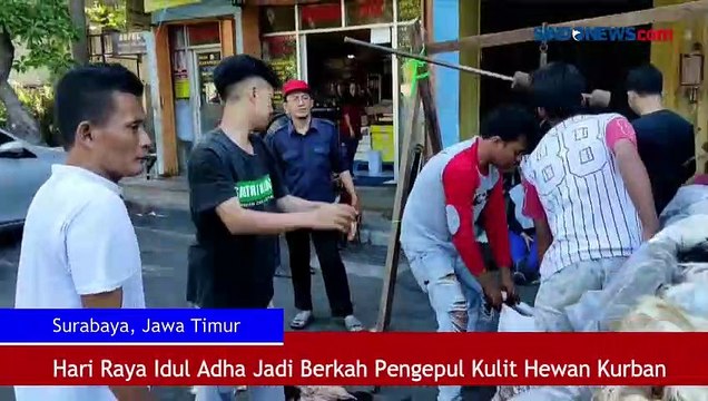 Hari Raya Idul Adha Jadi Berkah Pengepul Kulit Hewan Kurban